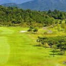 (주)골프존뉴딘홀딩스 이미지