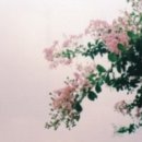 용 골 이미지