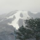 와유펜션 이미지