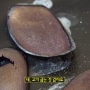 주성한의원 이미지