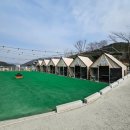 어반파크 캠핑장&바베큐 | 경주캠핑장 어반파크 캠핑장&amp;바베큐 키즈애견캠핑장