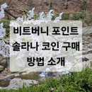 비트버니 포인트로 솔라나(sol) 코인 교환 방법 소개