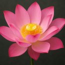 타로에 반하다 이미지