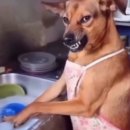 사람을 많이 패고 다닌 3월