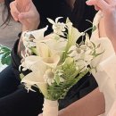 [240629] 부산 센텀사이언스파크 라움홀 본식 후기(부케 정보 공유)