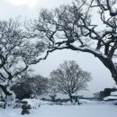 서정적인 이미지