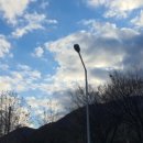 북삼수산시장
