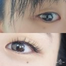 모모앤래쉬 | 서현역속눈썹 잘하는 곳 추천!👍 자연스러운 서현속눈썹연장 모모앤래쉬에서!🤩💕
