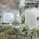 아이비파워 | *wedding* 대구 본식스냅 '김태우포토' 계약후기 - 피치톤 인물중심 사진 맛집 with 수성호텔 아이비홀