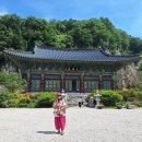 논산 반야사 동굴 법당 이미지