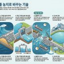 농지조성 티스토리