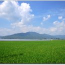 금지면 용전마을 이미지