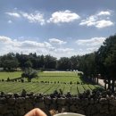 서귀고양이 이미지