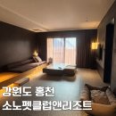 펫앤쿡(pet & cook) | [강원도][홍천] 소노펫클럽앤리조트 비발디파크 실버 Pet Club 파크뷰 객실 후기