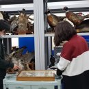 강화자연사박물관 이미지