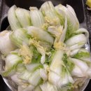 (12/13) 배추김치 담그기 | 캐나다 코스트코 배추로 김치 6포기 담근 후기 (현실은 대참사😂)