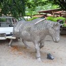 태신농장 이미지