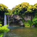 천지연 폭포 이미지