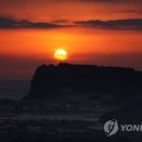 한새어린이공원 이미지