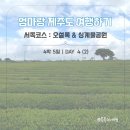 4박5일] DAY4(2). 오설록 티 뮤지엄 방문 솔직후기-싱계물공원-갈치왕 중문점 | 엄마랑 제주도 | 제주도...