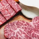 치커리생구이 이미지