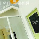 24시언제나동물병원 네이버블로그