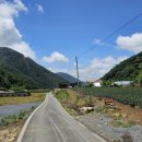 단양농부마을 이미지