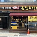 은성코다리 이미지