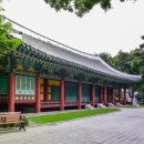 동우기획 - 강릉시 | 104, "경상감영을 거쳐야 진짜 명창이다" : 선화당 뜰에서 피워낸 가왕(歌王)의 울림