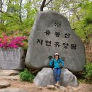 홍성 오뚜기 이미지