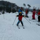 대마초등학교 이미지