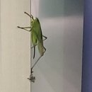 용화게임장 이미지