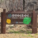 용현자연휴양림 이미지