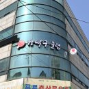 강탁구클럽