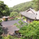모화리 Daum카페