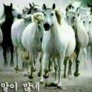 회초랑 네이버블로그