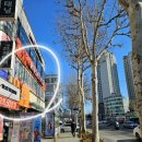 으뜸50안경 오목교점 이미지