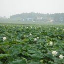 백년지기 이미지