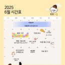 밤밤애견유치원