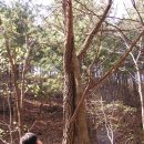 다유네일