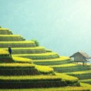 대현고등학교 이미지