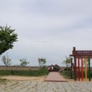 새를 타고 나는 사 네이버블로그