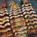 삼거리연잎장어 이미지