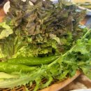 용촌고깃집 이미지