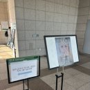 [250614] 알리 20주년 콘서트 &lt;용진&gt; in 서울 관람 후기