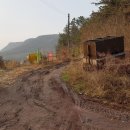 우치농장 이미지