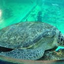 엑스포안경원 이미지