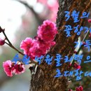 3월 16일 (토요일) 명품 수원모임에 사랑하는 회원님들을 수원 낙원콜라텍으로 정중히 초대합니다 이미지