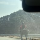 대관령 와우시티 펜션 | [ 양양 여행 ] 변덕스러운 날씨속에, 과연 해돋이를 볼 수 있을까?