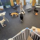 워니시티 이미지